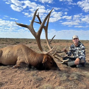 Large bull elk falling in dust cloud during hot Arizona hunt, massive antlers visible in arid terrain