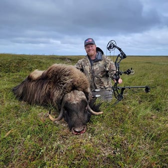 Hunter adapting to new Alaskan wilderness terrain during first muskox pursuit, highlighting growth beyond traditional mule deer and elk hunts