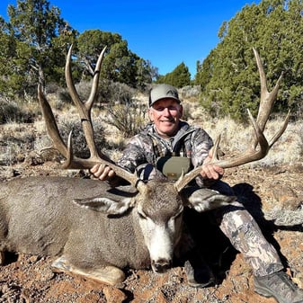 Mule deer buck in Arizona
